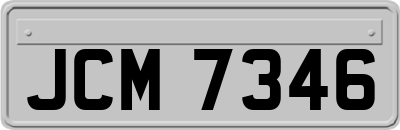 JCM7346