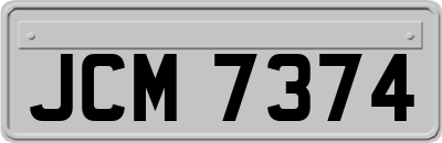 JCM7374