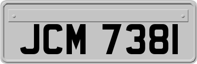 JCM7381