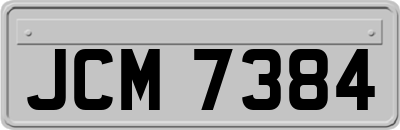 JCM7384