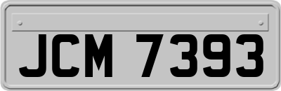 JCM7393