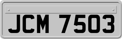 JCM7503