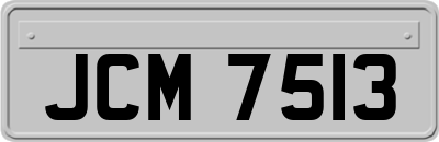JCM7513