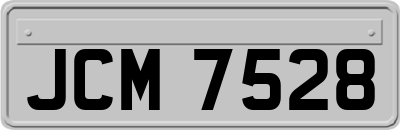 JCM7528