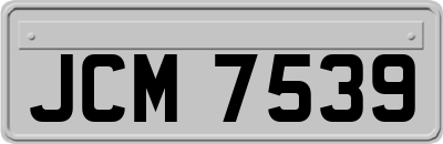 JCM7539
