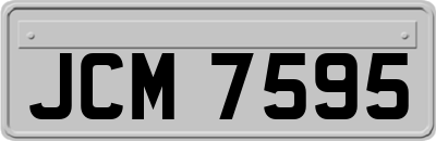 JCM7595