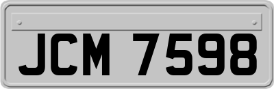 JCM7598