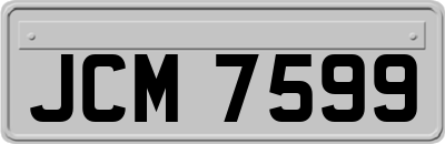 JCM7599