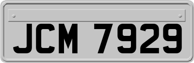 JCM7929