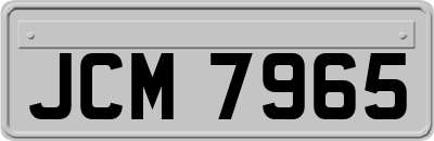 JCM7965