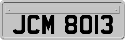 JCM8013