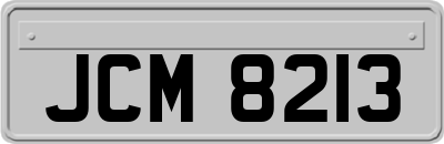 JCM8213