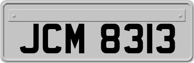 JCM8313