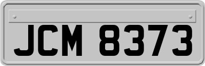 JCM8373