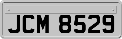 JCM8529
