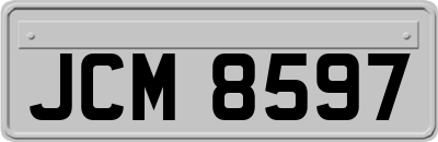JCM8597