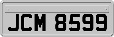 JCM8599