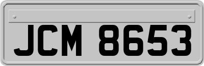 JCM8653
