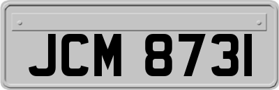 JCM8731