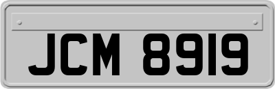 JCM8919