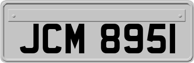 JCM8951
