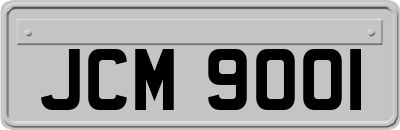 JCM9001