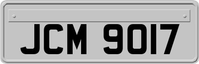 JCM9017