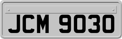 JCM9030