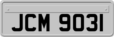 JCM9031