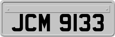 JCM9133