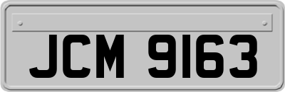 JCM9163