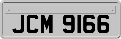 JCM9166