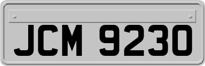 JCM9230