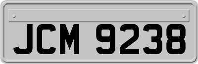 JCM9238