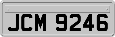 JCM9246
