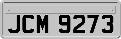 JCM9273