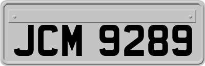 JCM9289