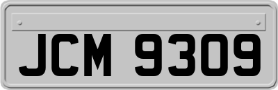 JCM9309