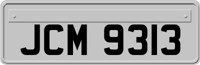 JCM9313