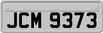 JCM9373