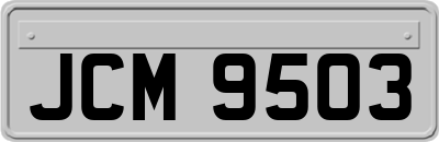 JCM9503