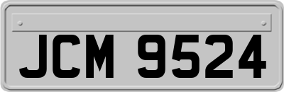 JCM9524