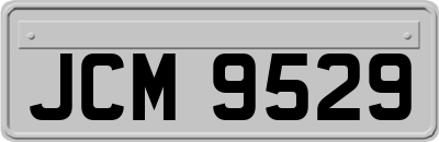 JCM9529