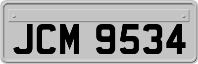JCM9534