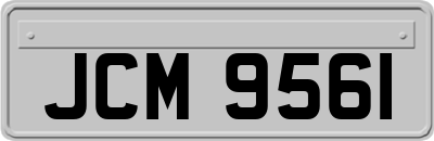 JCM9561