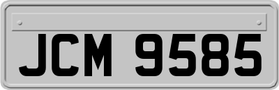 JCM9585