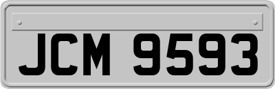 JCM9593