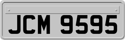 JCM9595