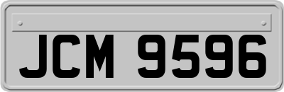 JCM9596