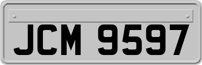 JCM9597